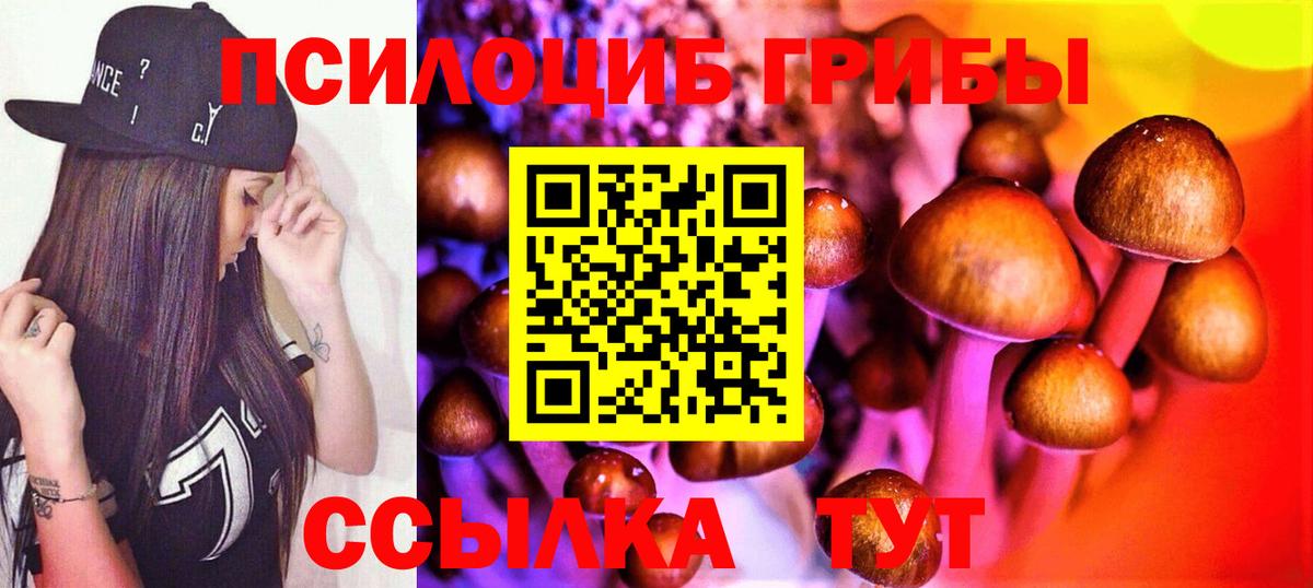 Псилоцибиновые грибы прущие грибы Егорьевск