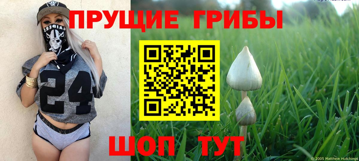 Егорьевск  Галлюциногенные грибы MAGIC MUSHROOMS  Вход с VPN 